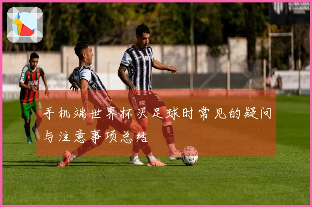 手机端世界杯买足球时常见的疑问与注意事项总结